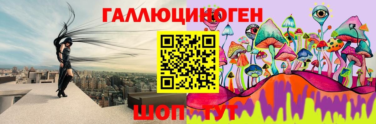 Сибай  Галлюциногенные грибы прущие грибы  Псилоцибиновые грибы GOLDEN TEACHER  Вход с VPN 